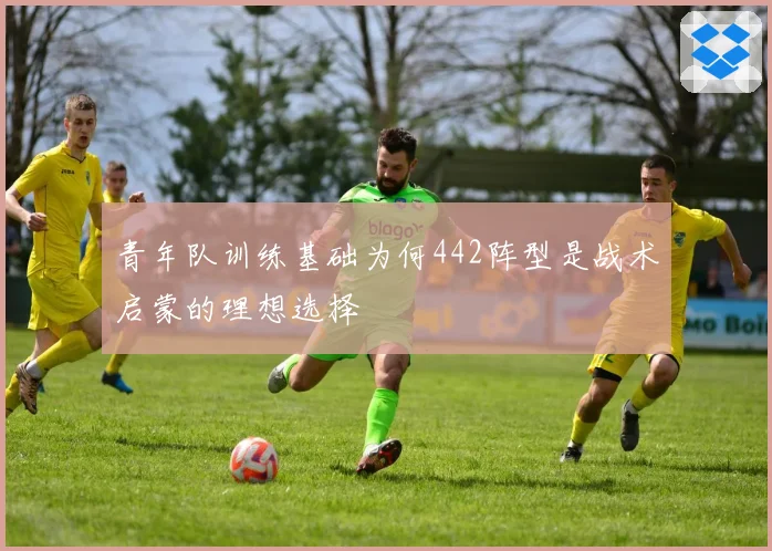 青年队训练基础为何442阵型是战术启蒙的理想选择