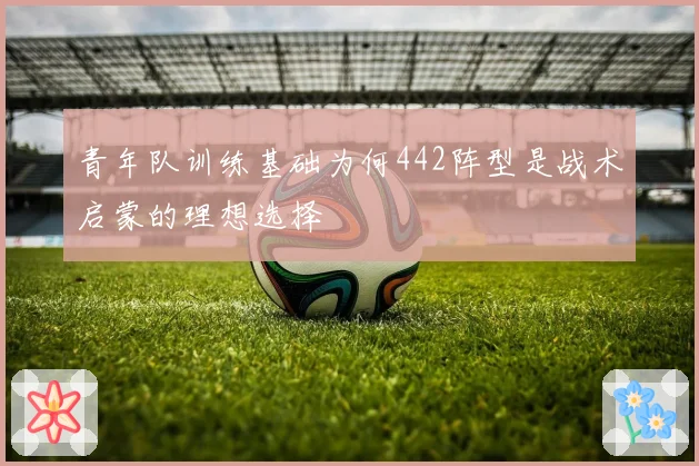青年队训练基础为何442阵型是战术启蒙的理想选择