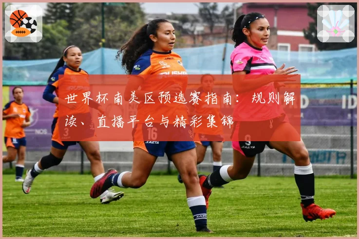 世界杯南美区预选赛指南：规则解读、直播平台与精彩集锦