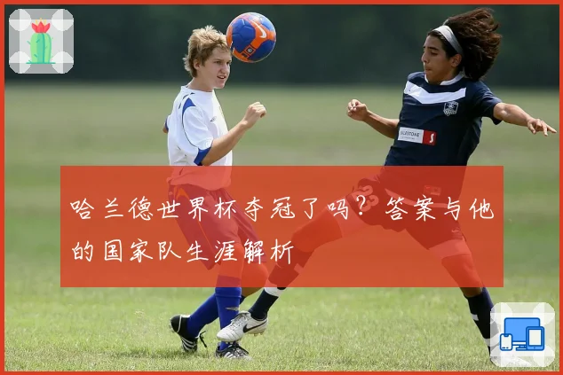 哈兰德世界杯夺冠了吗?答案与他的国家队生涯解析