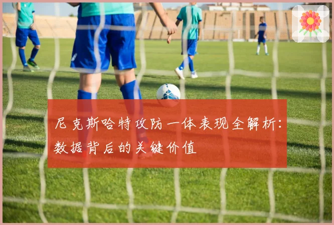 尼克斯哈特攻防一体表现全解析:数据背后的关键价值