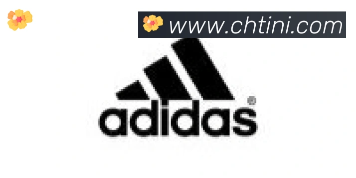 开云app合作伙伴