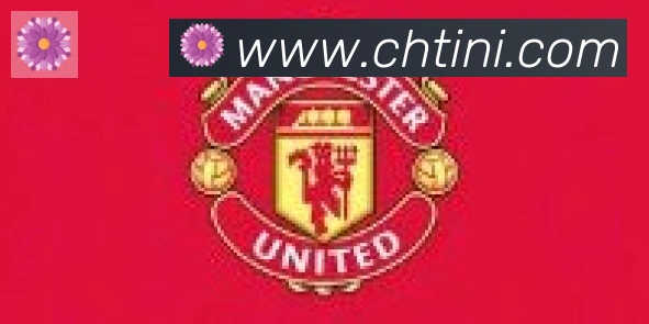 开云app合作伙伴